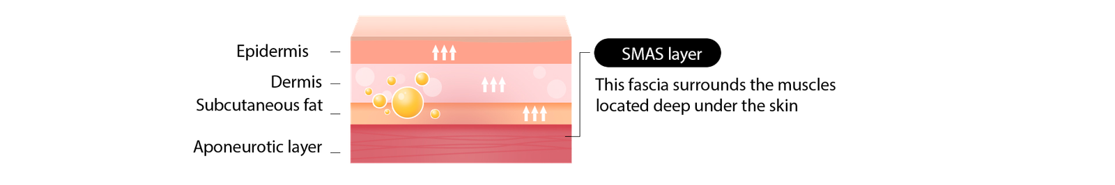 Anti-aging - 3